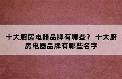 十大厨房电器品牌有哪些？ 十大厨房电器品牌有哪些名字